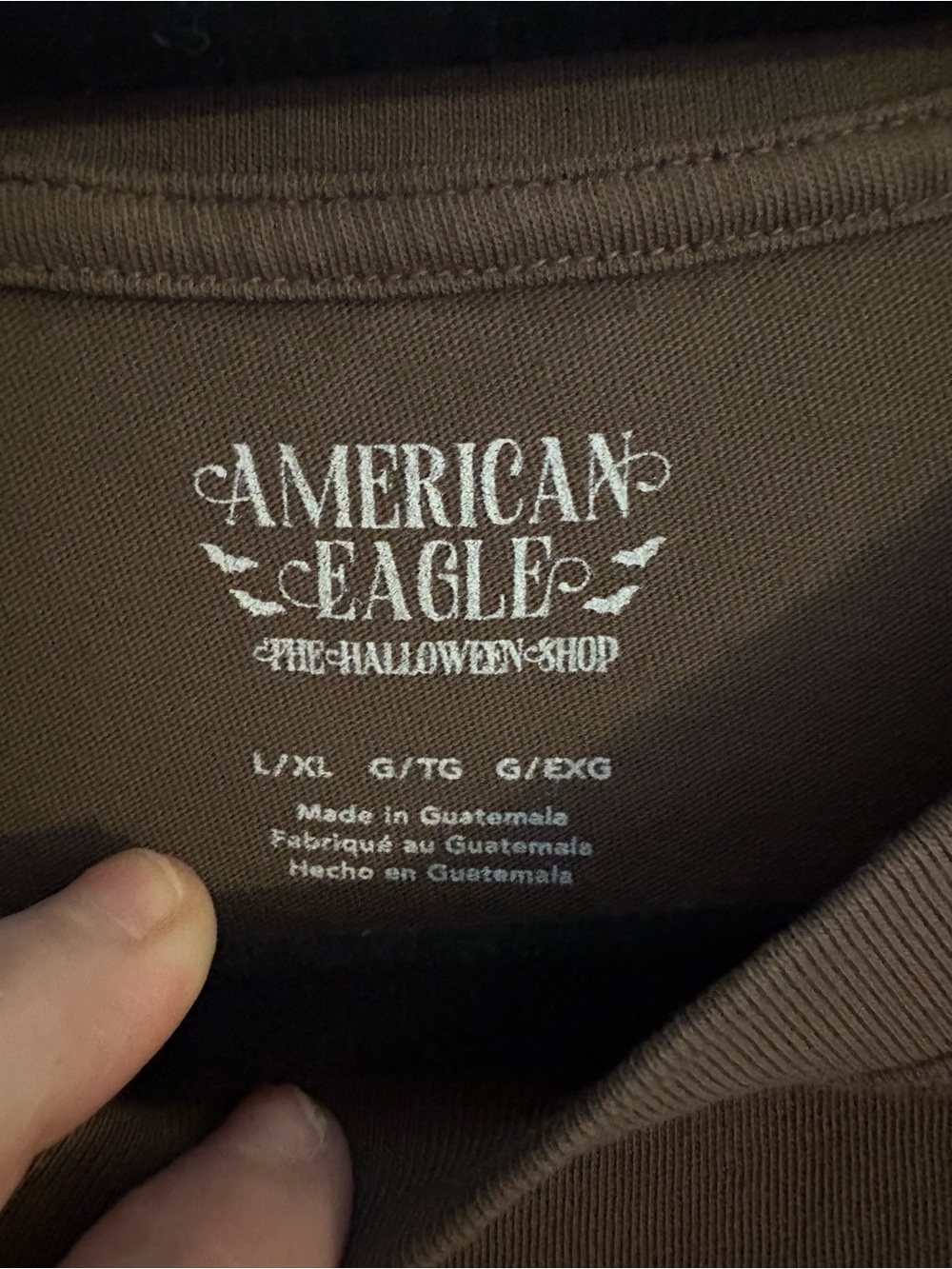 American Eagle Outfitters Brown Graphic Halloween Tee - Picture 3 of 4